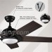 Reiga 52-Inch 5 Hand-Painted Blades Silent Ceiling Fan with light Remote Control  Matt Black Replace Your Light Bulb at Will - B07BLT4YKK